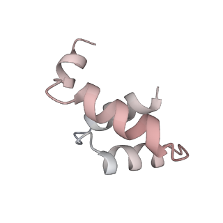 5592_4v6x_Cs_v1-5
Structure of the human 80S ribosome