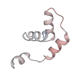 5592_4v6x_Ct_v1-5
Structure of the human 80S ribosome