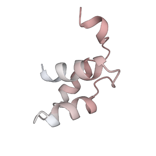 5592_4v6x_Cu_v1-5
Structure of the human 80S ribosome