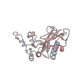 5592_4v6x_Cz_v1-5
Structure of the human 80S ribosome
