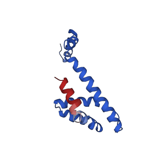21094_6v7b_H_v1-2
Cryo-EM reconstruction of Pyrobaculum filamentous virus 2 (PFV2)