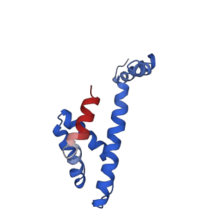 21094_6v7b_L_v1-2
Cryo-EM reconstruction of Pyrobaculum filamentous virus 2 (PFV2)
