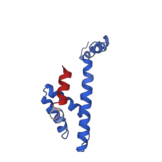 21094_6v7b_U_v1-2
Cryo-EM reconstruction of Pyrobaculum filamentous virus 2 (PFV2)