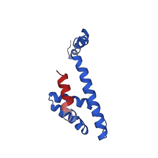 21094_6v7b_W_v1-2
Cryo-EM reconstruction of Pyrobaculum filamentous virus 2 (PFV2)