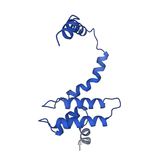 21094_6v7b_h_v1-2
Cryo-EM reconstruction of Pyrobaculum filamentous virus 2 (PFV2)
