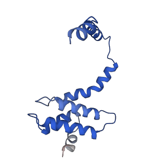 21094_6v7b_w_v1-2
Cryo-EM reconstruction of Pyrobaculum filamentous virus 2 (PFV2)