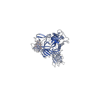 31761_7v77_C_v1-0
Cryo-EM structure of SARS-CoV-2 S-Beta variant (B.1.351), uncleavable form, two RBD-up conformation