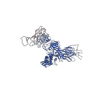 31762_7v78_A_v1-0
Cryo-EM structure of SARS-CoV-2 S-Gamma variant (P.1), one RBD-up conformation 1