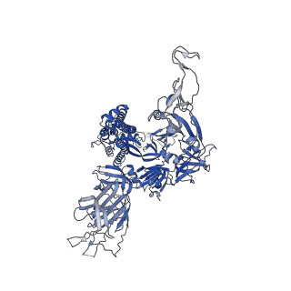 31762_7v78_C_v1-0
Cryo-EM structure of SARS-CoV-2 S-Gamma variant (P.1), one RBD-up conformation 1