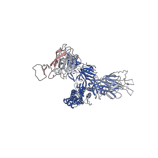 31763_7v79_A_v1-0
Cryo-EM structure of SARS-CoV-2 S-Gamma variant (P.1), one RBD-up conformation 2