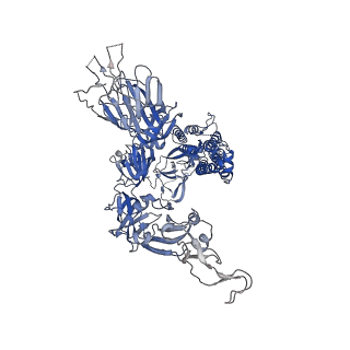 31763_7v79_B_v1-0
Cryo-EM structure of SARS-CoV-2 S-Gamma variant (P.1), one RBD-up conformation 2
