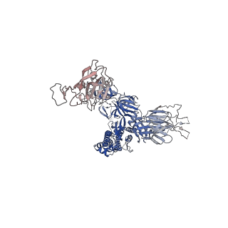 31764_7v7a_B_v1-0
Cryo-EM structure of SARS-CoV-2 S-Gamma variant (P.1), two RBD-up conformation