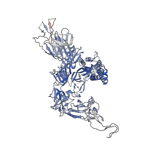 31764_7v7a_C_v1-0
Cryo-EM structure of SARS-CoV-2 S-Gamma variant (P.1), two RBD-up conformation
