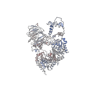 31765_7v7b_A_v1-0
CryoEM structure of DDB1-VprBP complex in ARM-up conformation