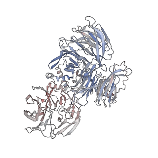 31766_7v7c_B_v1-0
CryoEM structure of DDB1-VprBP-Vpr-UNG2(94-313) complex