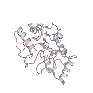 31766_7v7c_D_v1-0
CryoEM structure of DDB1-VprBP-Vpr-UNG2(94-313) complex
