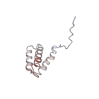 31766_7v7c_G_v1-0
CryoEM structure of DDB1-VprBP-Vpr-UNG2(94-313) complex