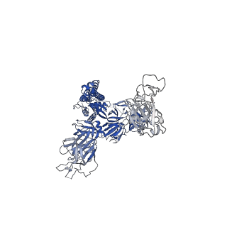 31769_7v7f_A_v1-0
Cryo-EM structure of SARS-CoV-2 S-Kappa variant (B.1.617.1), one RBD-up conformation 2