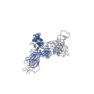 31770_7v7g_A_v1-0
Cryo-EM structure of SARS-CoV-2 S-Kappa variant (B.1.617.1), two RBD-up conformation