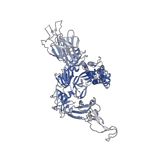 31770_7v7g_C_v1-0
Cryo-EM structure of SARS-CoV-2 S-Kappa variant (B.1.617.1), two RBD-up conformation