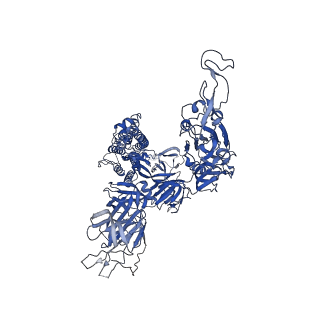 31771_7v7h_A_v1-0
Cryo-EM structure of SARS-CoV-2 S-Kappa variant (B.1.617.1), dimer of S trimer conformation 1