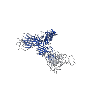 31776_7v7o_A_v1-0
Cryo-EM structure of SARS-CoV-2 S-Delta variant (B.1.617.2), one RBD-up conformation 1