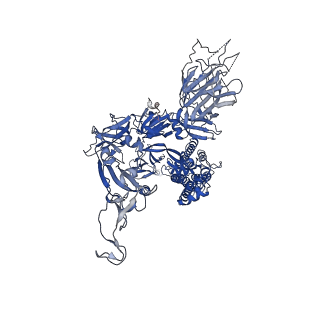 31778_7v7q_C_v1-0
Cryo-EM structure of SARS-CoV-2 S-Delta variant (B.1.617.2), one RBD-up conformation 3