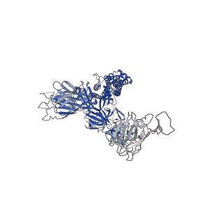 31779_7v7r_A_v1-0
Cryo-EM structure of SARS-CoV-2 S-Delta variant (B.1.617.2), one RBD-up conformation 4