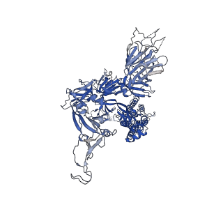31779_7v7r_C_v1-0
Cryo-EM structure of SARS-CoV-2 S-Delta variant (B.1.617.2), one RBD-up conformation 4