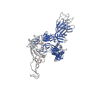 31780_7v7s_C_v1-0
Cryo-EM structure of SARS-CoV-2 S-Delta variant (B.1.617.2), one RBD-up conformation 5