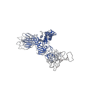 31781_7v7t_A_v1-0
Cryo-EM structure of SARS-CoV-2 S-Delta variant (B.1.617.2), two RBD-up conformation 1