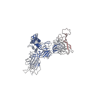 31784_7v7z_A_v1-0
Cryo-EM structure of SARS-CoV-2 S-Beta variant (B.1.351) in complex with Angiotensin-converting enzyme 2 (ACE2) ectodomain, three ACE2-bound form