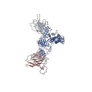 31784_7v7z_C_v1-0
Cryo-EM structure of SARS-CoV-2 S-Beta variant (B.1.351) in complex with Angiotensin-converting enzyme 2 (ACE2) ectodomain, three ACE2-bound form