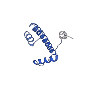 43003_8v7l_A_v1-0
Cryo-EM structure of singly-bound SNF2h-nucleosome complex with SNF2h at inactive SHL2 (conformation 2)