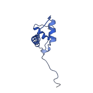 43003_8v7l_B_v1-0
Cryo-EM structure of singly-bound SNF2h-nucleosome complex with SNF2h at inactive SHL2 (conformation 2)