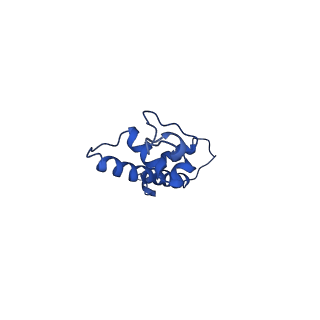 43003_8v7l_C_v1-0
Cryo-EM structure of singly-bound SNF2h-nucleosome complex with SNF2h at inactive SHL2 (conformation 2)