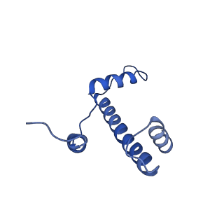 43003_8v7l_E_v1-0
Cryo-EM structure of singly-bound SNF2h-nucleosome complex with SNF2h at inactive SHL2 (conformation 2)