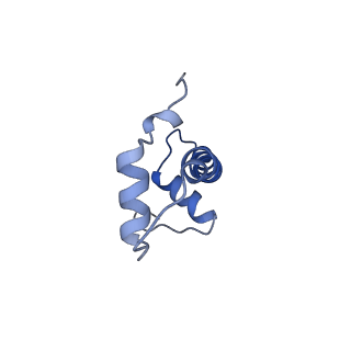 43003_8v7l_F_v1-0
Cryo-EM structure of singly-bound SNF2h-nucleosome complex with SNF2h at inactive SHL2 (conformation 2)