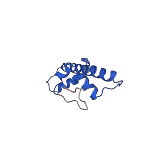 43003_8v7l_G_v1-0
Cryo-EM structure of singly-bound SNF2h-nucleosome complex with SNF2h at inactive SHL2 (conformation 2)