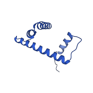 43003_8v7l_H_v1-0
Cryo-EM structure of singly-bound SNF2h-nucleosome complex with SNF2h at inactive SHL2 (conformation 2)