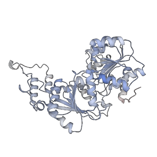 43003_8v7l_W_v1-0
Cryo-EM structure of singly-bound SNF2h-nucleosome complex with SNF2h at inactive SHL2 (conformation 2)