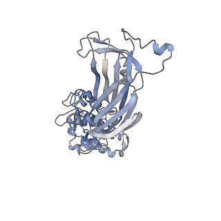 5199_4v7q_AF_v1-3
Atomic model of an infectious rotavirus particle