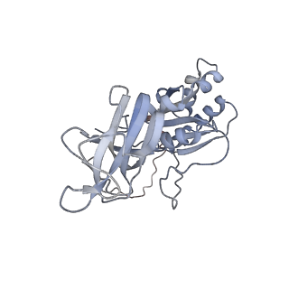 5199_4v7q_BL_v1-3
Atomic model of an infectious rotavirus particle