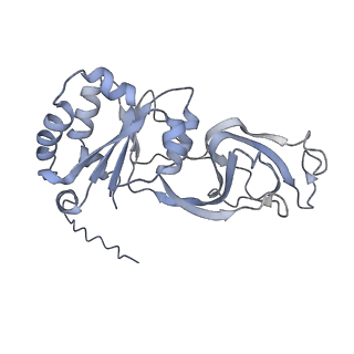 5199_4v7q_BM_v1-3
Atomic model of an infectious rotavirus particle