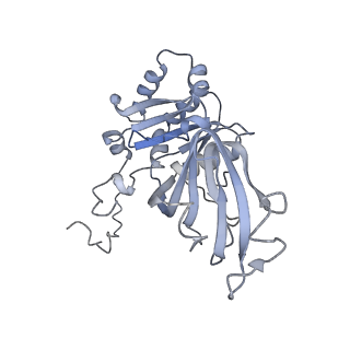 5199_4v7q_BP_v1-3
Atomic model of an infectious rotavirus particle