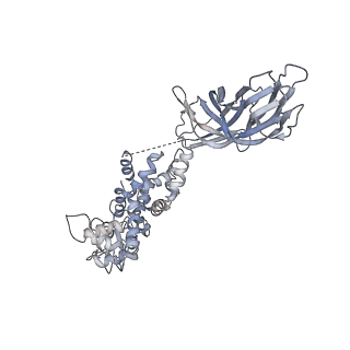 5199_4v7q_BZ_v1-3
Atomic model of an infectious rotavirus particle