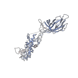 5199_4v7q_BZ_v2-0
Atomic model of an infectious rotavirus particle