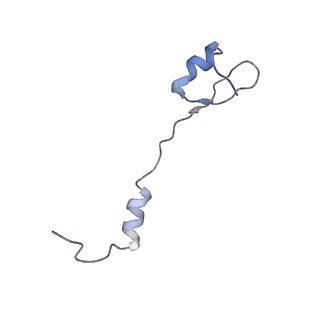 8641_5v7q_0_v1-3
Cryo-EM structure of the large ribosomal subunit from Mycobacterium tuberculosis bound with a potent linezolid analog