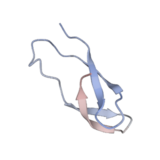 8641_5v7q_1_v1-3
Cryo-EM structure of the large ribosomal subunit from Mycobacterium tuberculosis bound with a potent linezolid analog