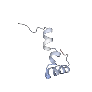 8641_5v7q_2_v1-3
Cryo-EM structure of the large ribosomal subunit from Mycobacterium tuberculosis bound with a potent linezolid analog